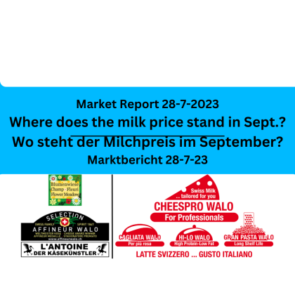 Market Report-28-7-23, Marktbericht 28-7-23